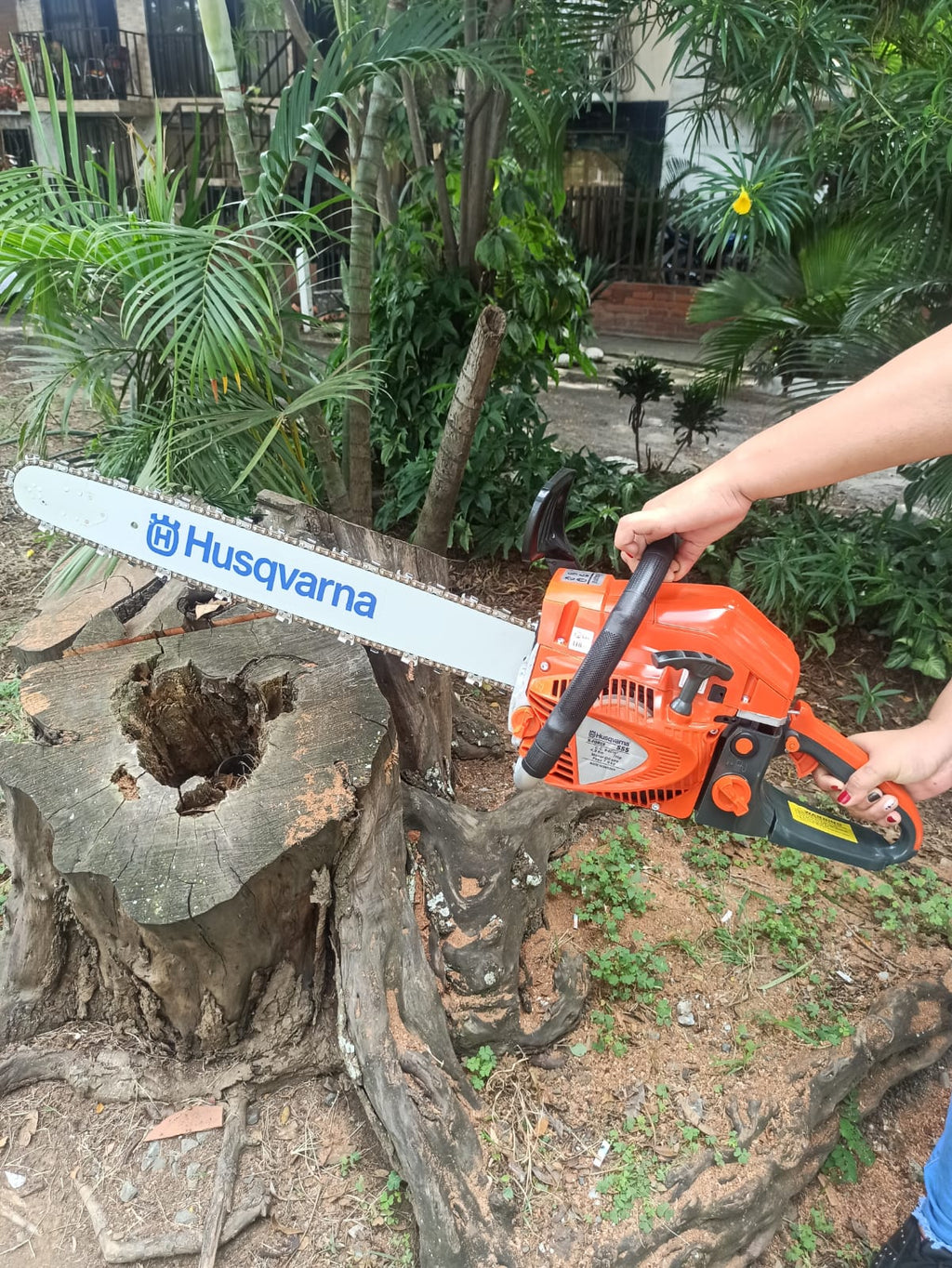 MOTOSIERRA HUSQVARNA 555 PROFESIONAL